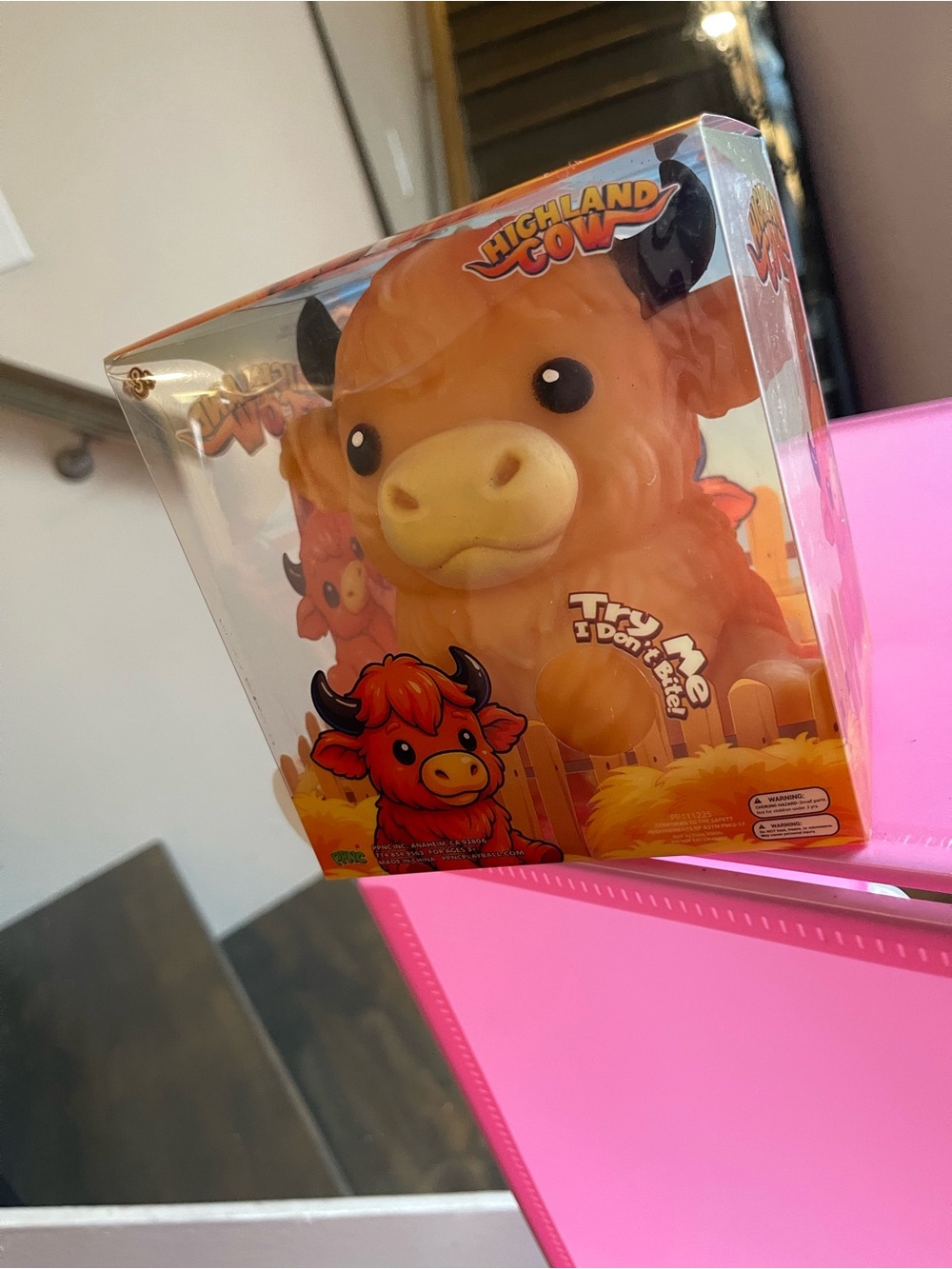 Five below highland cow